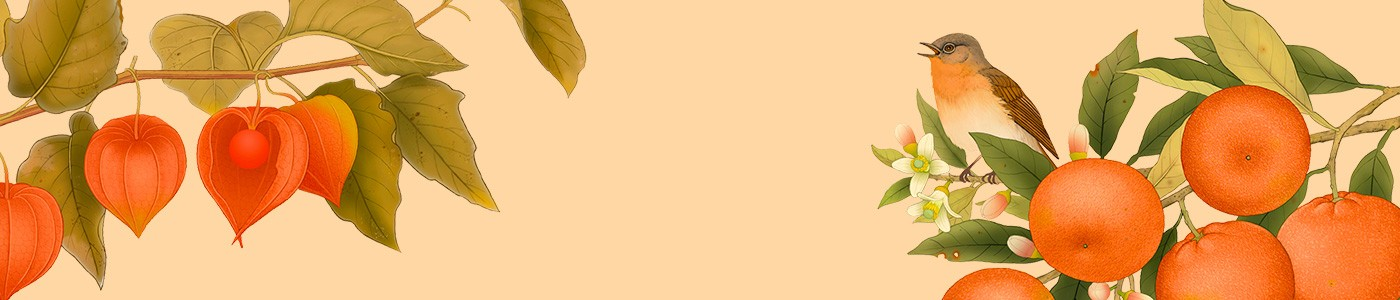 Accordo Arancio