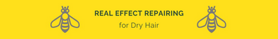 Real Effect (For Brittle and Weak, Split Ends)