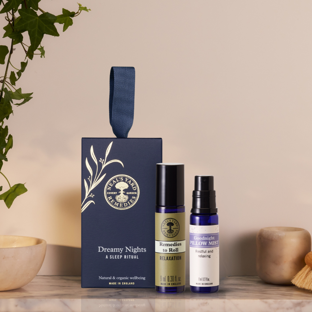 Dreamy Nights Sleep Duo 2024
