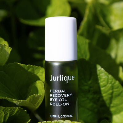 Herbal Recovery Eye Roll-On 10ml