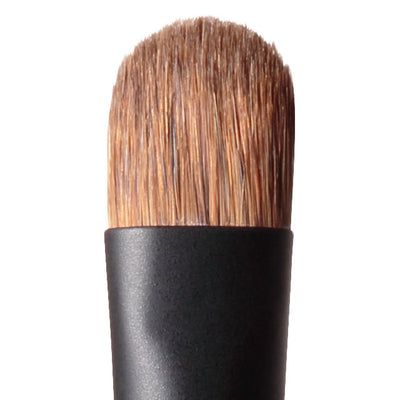 Shimmering Color Veil Statement Brush M -  organic-lab-my.myshopify.com